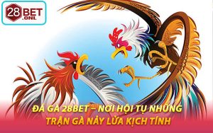 Đá Gà 28BET – Nơi Hội Tụ Những Trận Gà Nảy Lửa Kịch Tính
